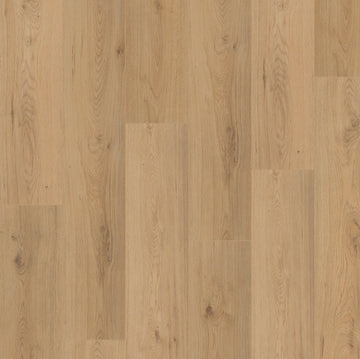 Budgetfloor Laminaat Surprise Millenium Oak SP805 - Solza.nl